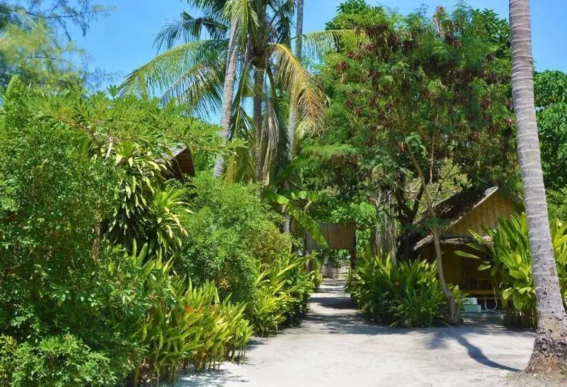 ホテル Forra Dive Resort Sunrise