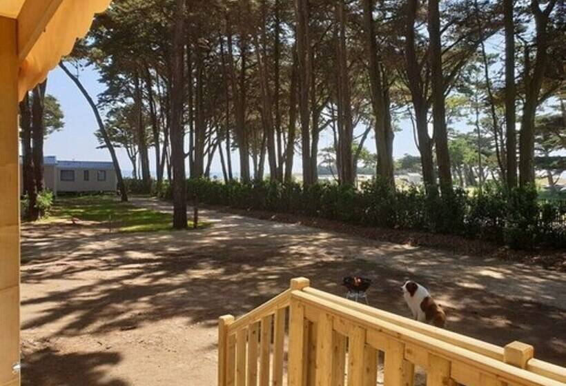 Hotell Macareux Moine