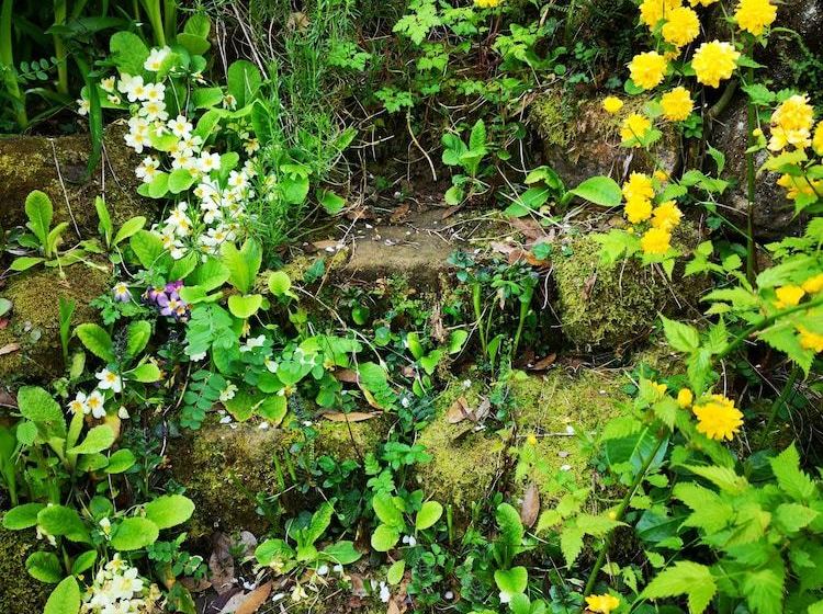 Maison Monet Terrasse Et Petit Jardin