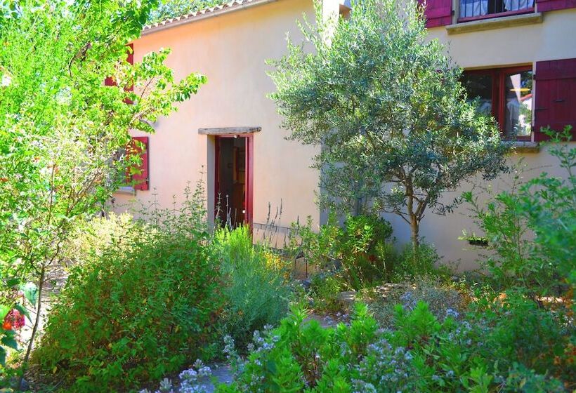 بنسيون Chambres D Hôtes Maison De La Vigne