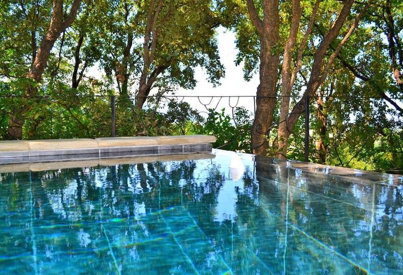 بنسيون Chambres D Hôtes Maison De La Vigne