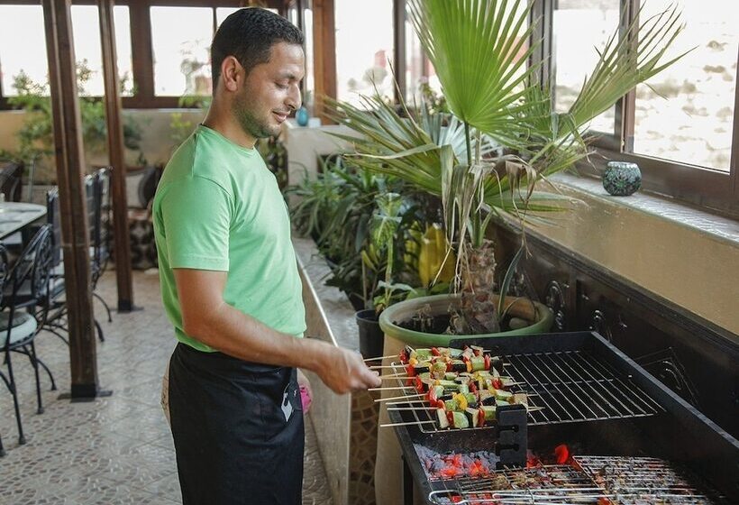 Pension (Hôtel basse catégorie) Surf House Morocco