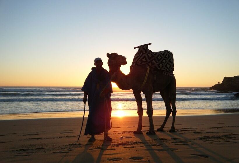 Pension (Hôtel basse catégorie) Surf House Morocco