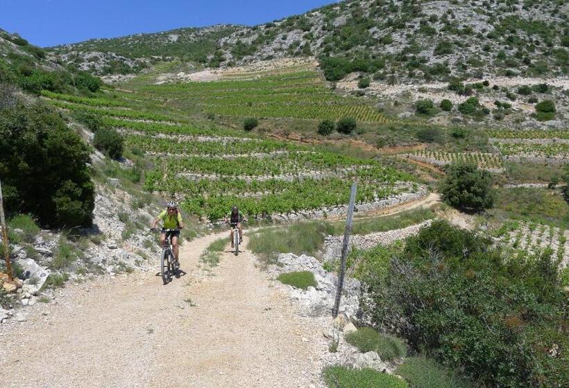 אתר נופש Aminess Bellevue