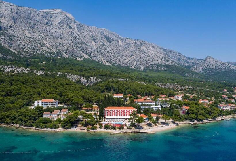 אתר נופש Aminess Bellevue