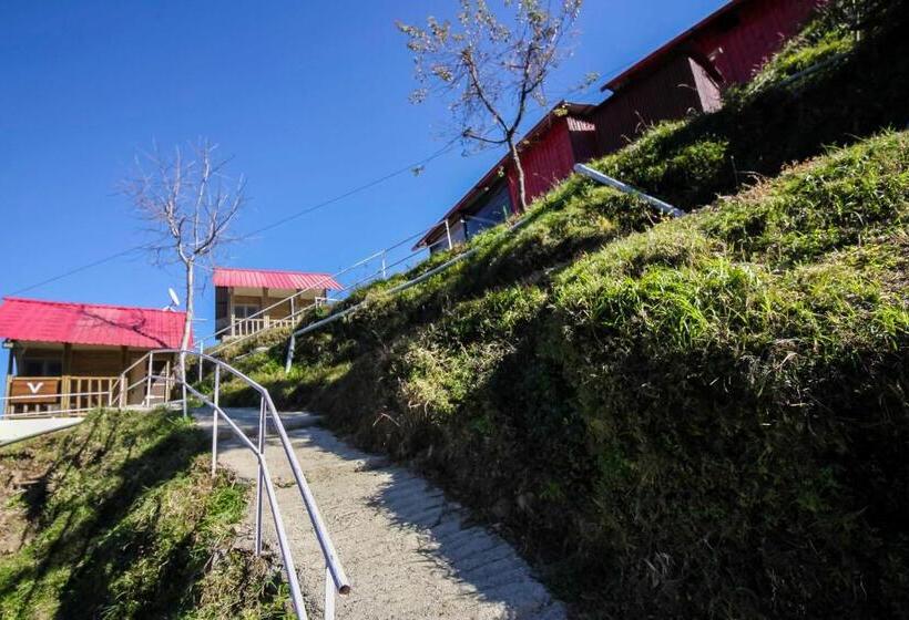 Glamwood Resort Dhanaulti, Ranked 1 In Dhanaulti