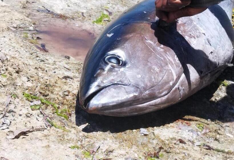 Hotel Coco Reef Ecolodge