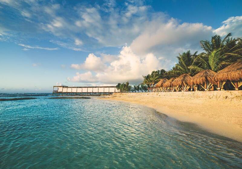 Hotel El Dorado Seaside Palms, Catamarán, Cenote & More Inclusive
