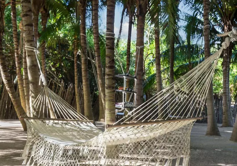 ホテル El Dorado Seaside Palms, Catamarán, Cenote & More Inclusive