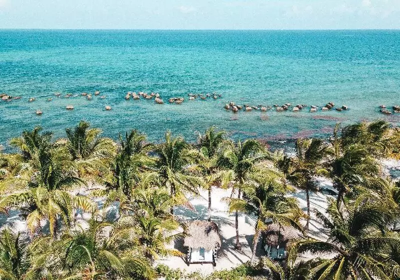 ホテル El Dorado Seaside Palms, Catamarán, Cenote & More Inclusive