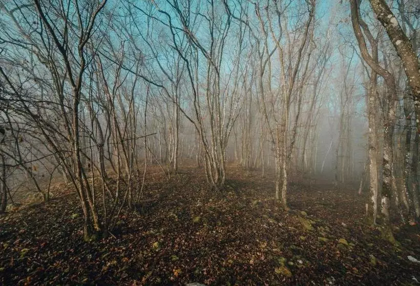 پانسیون Ecolodge Le Grand Nichet