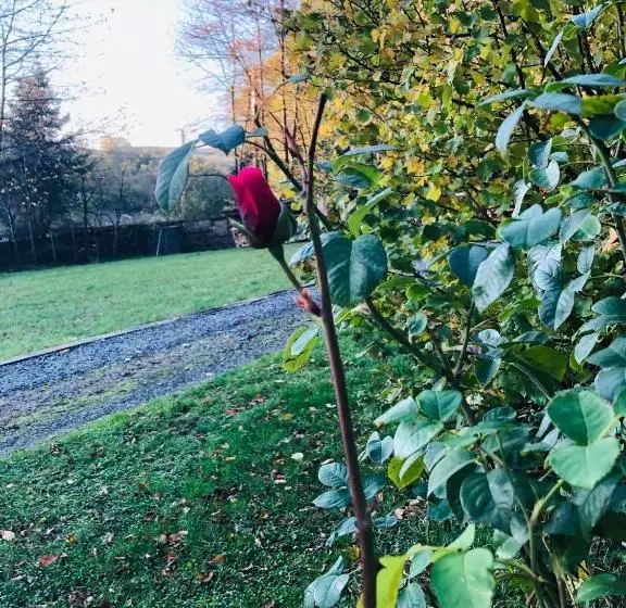 پانسیون Ecolodge Le Grand Nichet