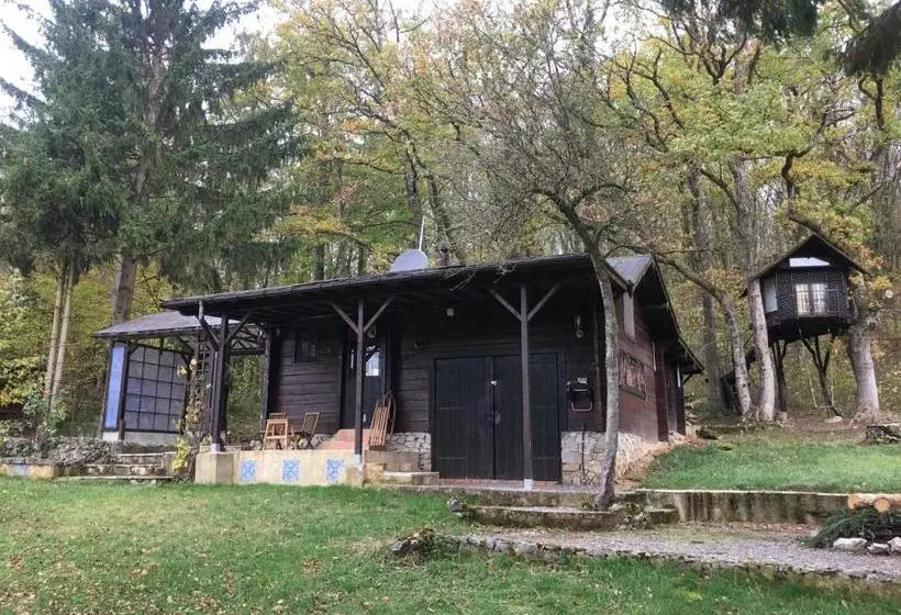 پانسیون Ecolodge Le Grand Nichet