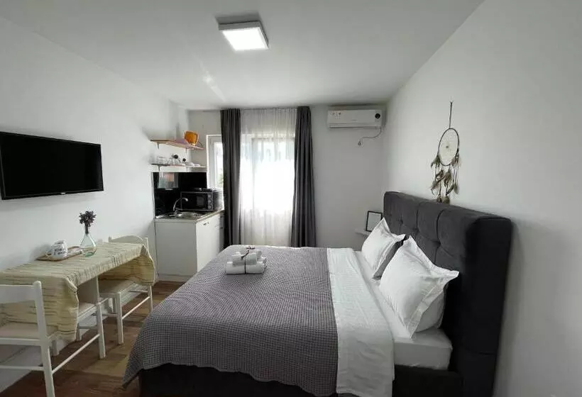 Central Studio Apartments