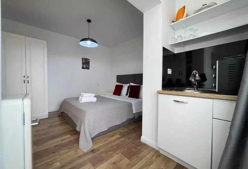 Central Studio Apartments