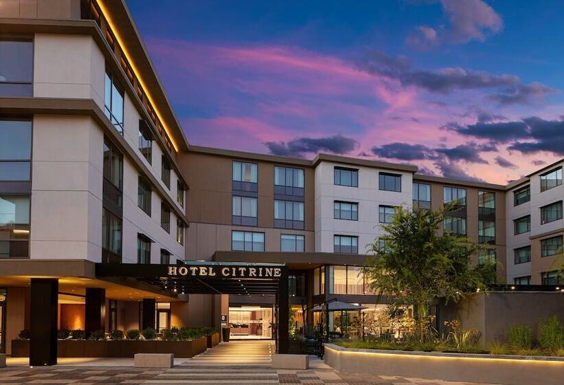 فندق Citrine, Palo Alto, A Tribute Portfolio