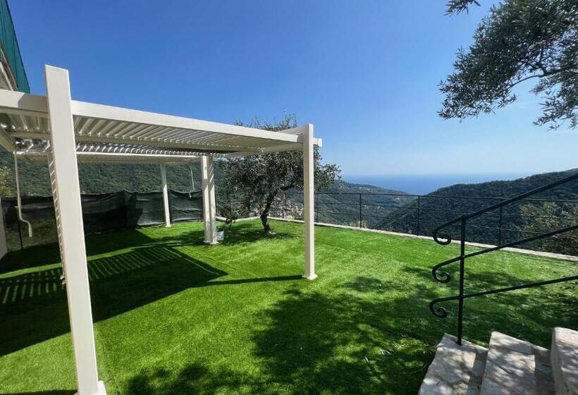 בית מלון כפרי Looky