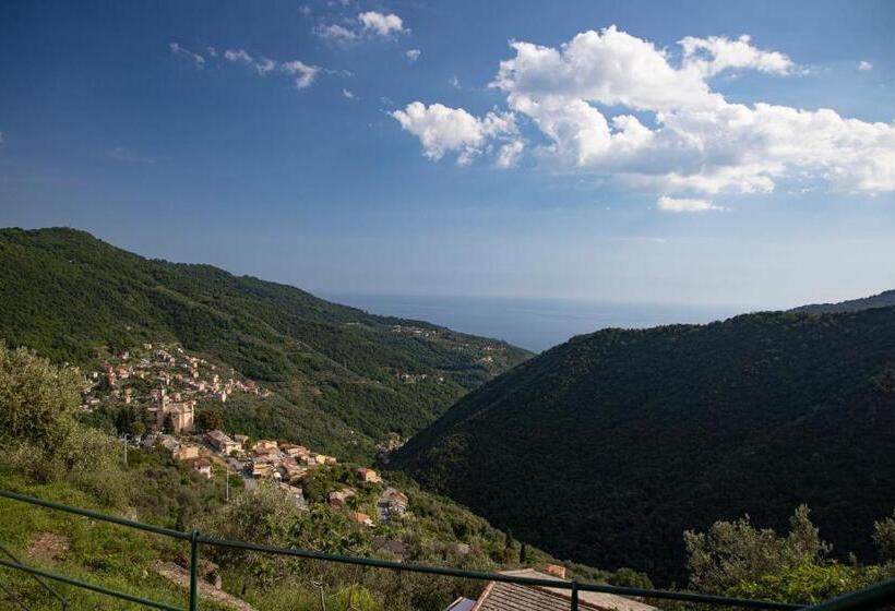 בית מלון כפרי Looky