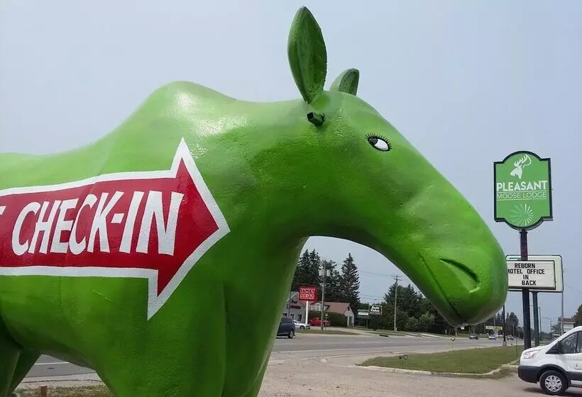 Hotelli Pleasant Moose Lodge