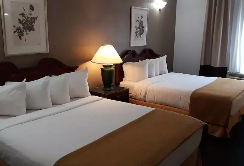 Hotelli Pleasant Moose Lodge