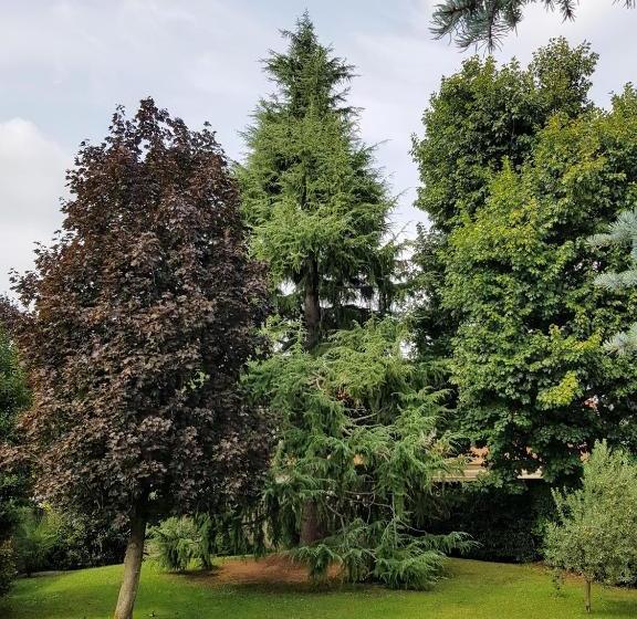 مبيت وإفطار Il Nido Della Dani