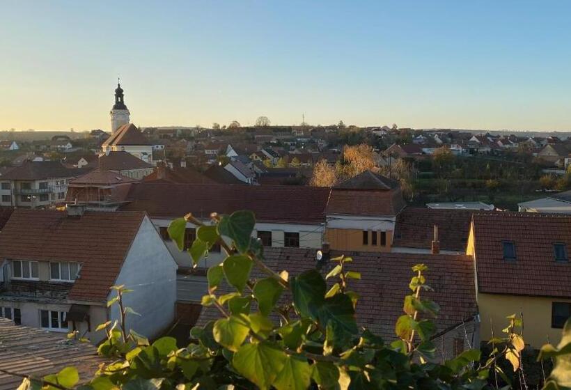 酒店 Chateau Zamek Cejkovice