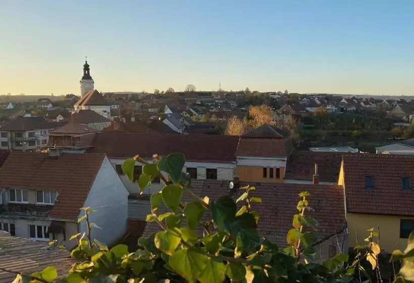 Hotelli Chateau Zamek Cejkovice