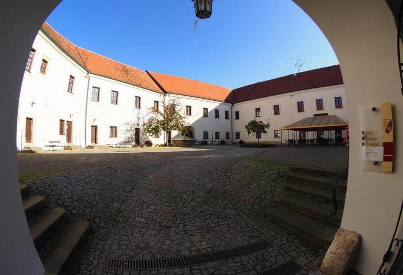 酒店 Chateau Zamek Cejkovice