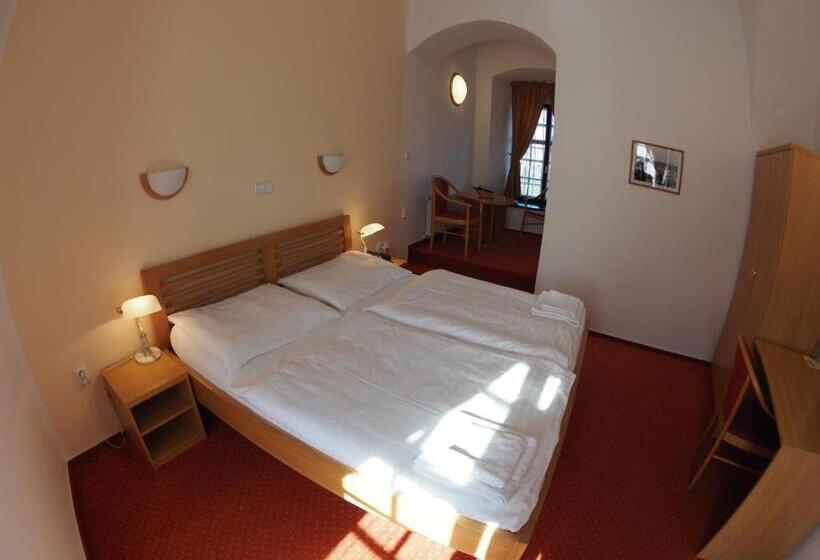 酒店 Chateau Zamek Cejkovice