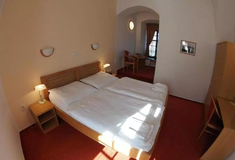 Hotelli Chateau Zamek Cejkovice