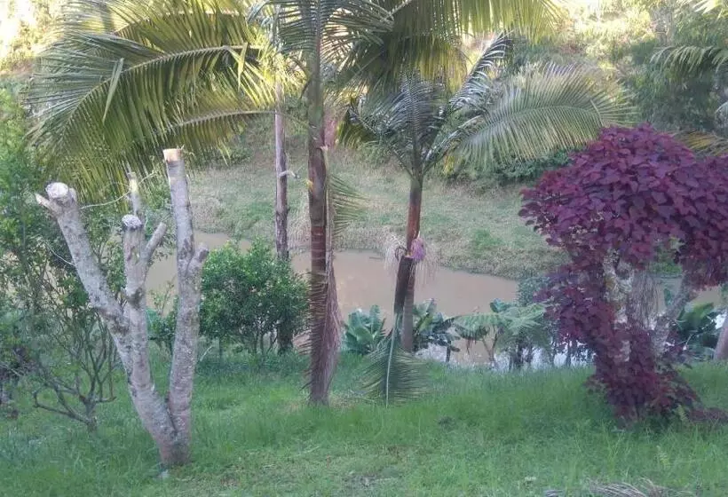 ホテル El Potrillo