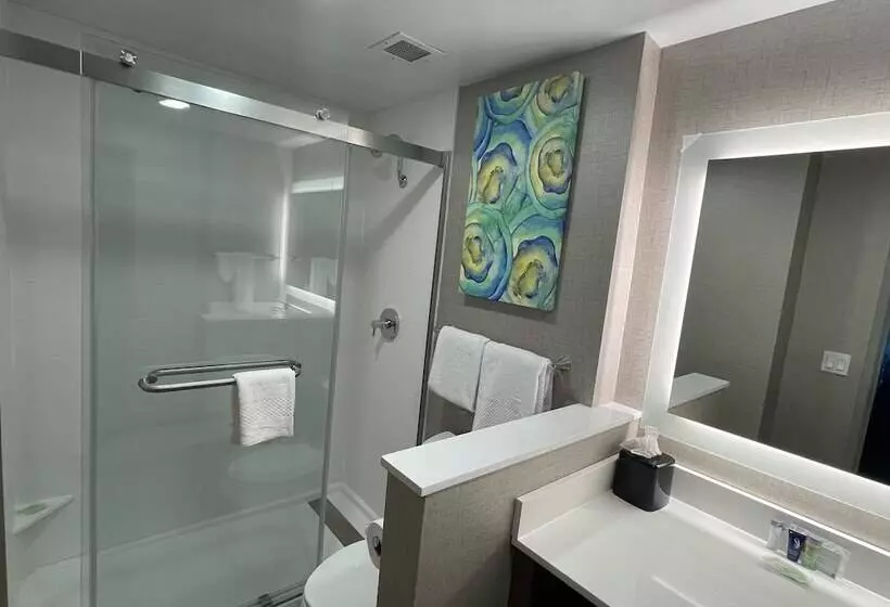 ホテル Mainstay Suites Oakbrook Terrace  Chicago