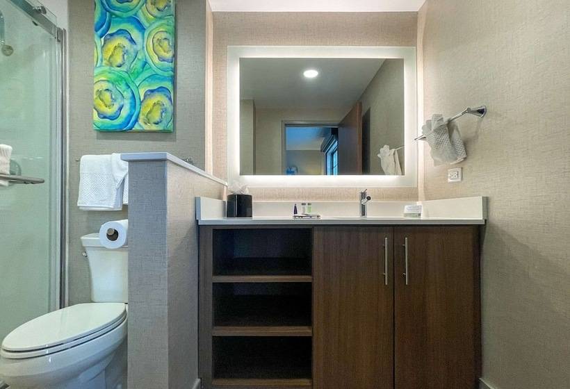 호텔 Mainstay Suites Oakbrook Terrace  Chicago