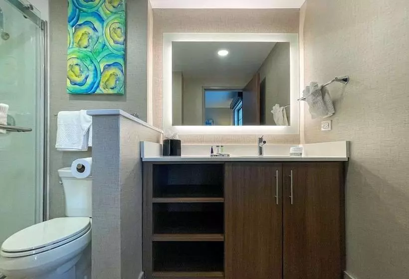 ホテル Mainstay Suites Oakbrook Terrace  Chicago