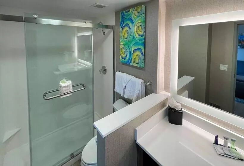 ホテル Mainstay Suites Oakbrook Terrace  Chicago