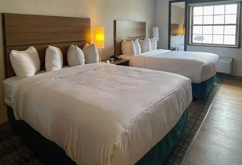 ホテル Mainstay Suites Oakbrook Terrace  Chicago