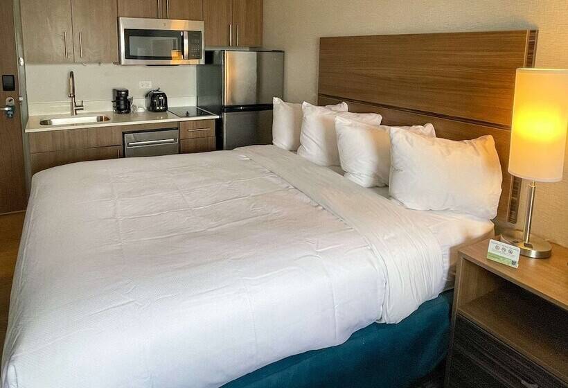 호텔 Mainstay Suites Oakbrook Terrace  Chicago