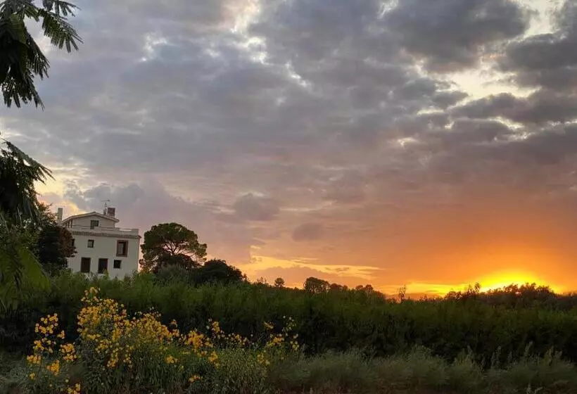 Hotelli Rural Mas De L Illa