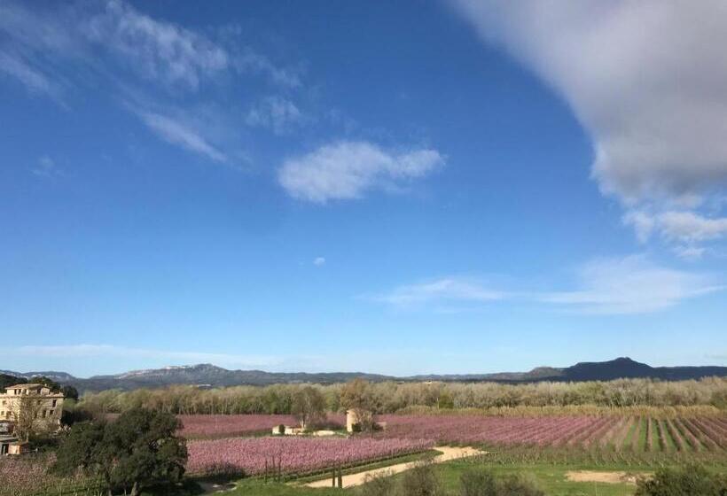 فندق Rural Mas De L Illa