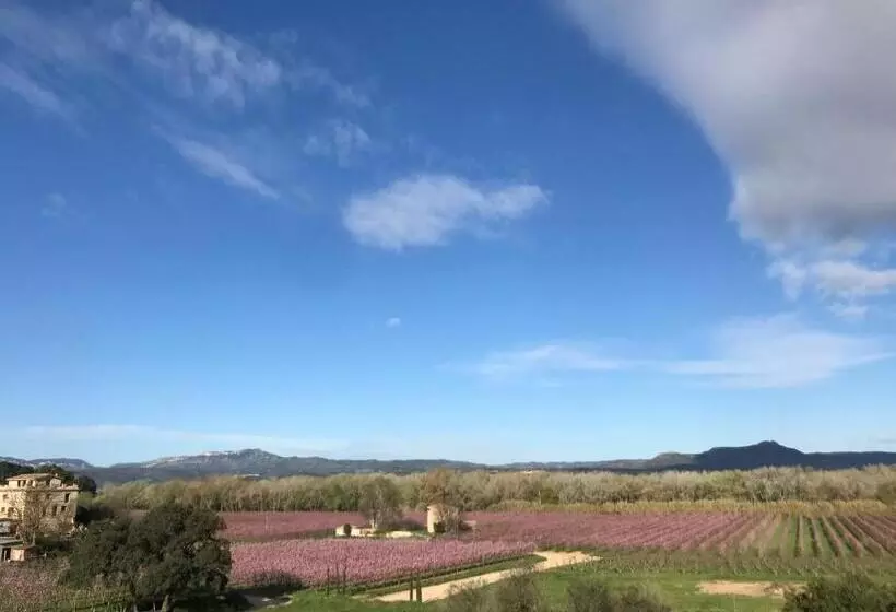 Hotelli Rural Mas De L Illa