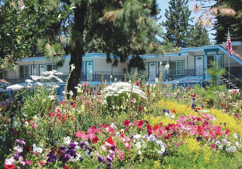 فندق Americana Village