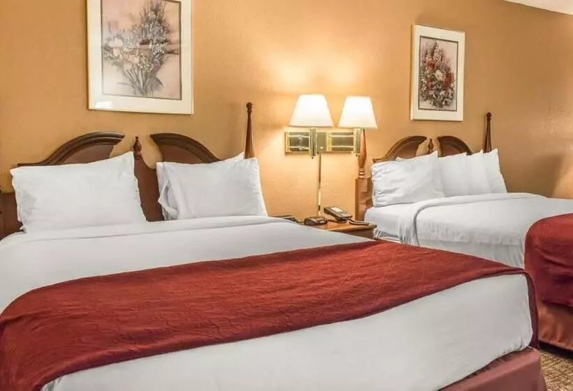 Отель Fairbridge Inn & Suites Poconos