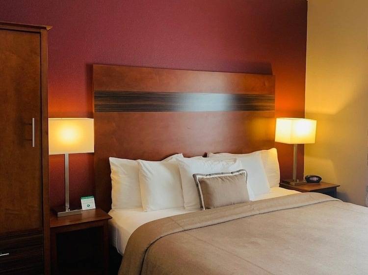 בית מלון כפרי Grandstay Residential Suites