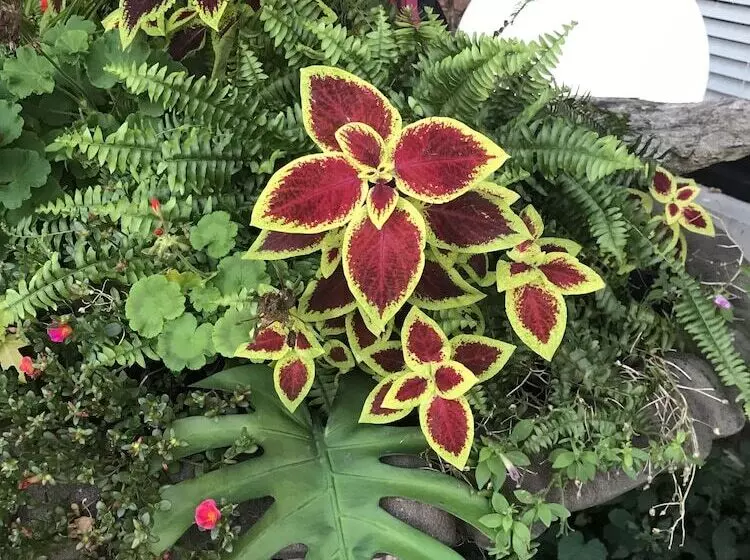 Отель Inn At Grand Glaize