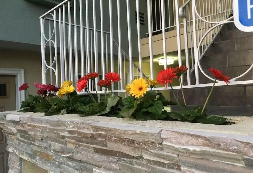 호텔 Little Inn By The Bay Newport Beach