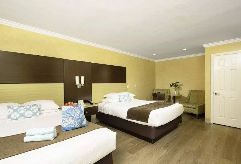 호텔 Little Inn By The Bay Newport Beach