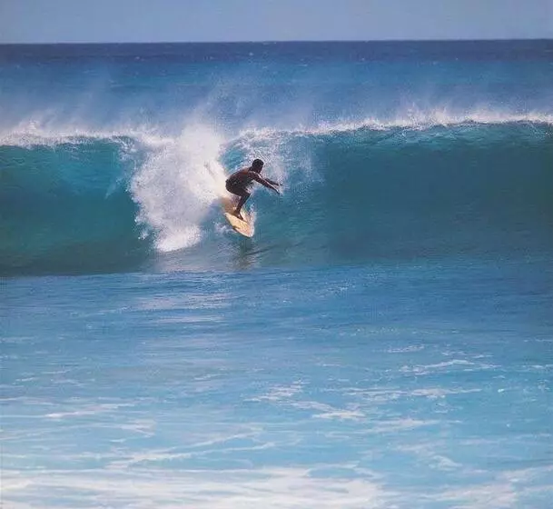 호텔 Little Inn By The Bay Newport Beach