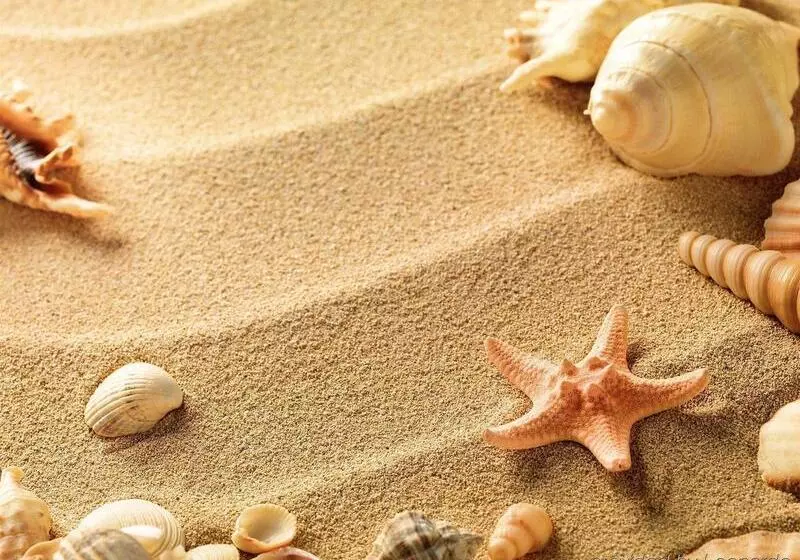 호텔 Little Inn By The Bay Newport Beach