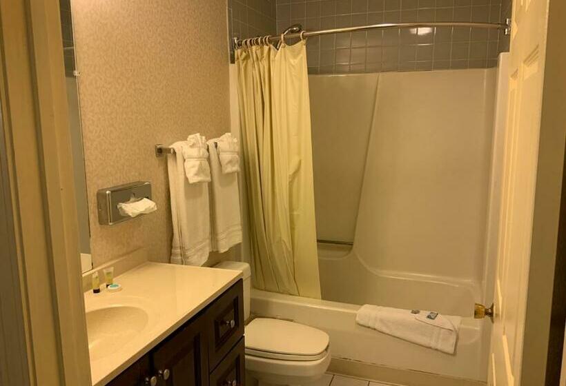 Отель Regency Inn & Suites