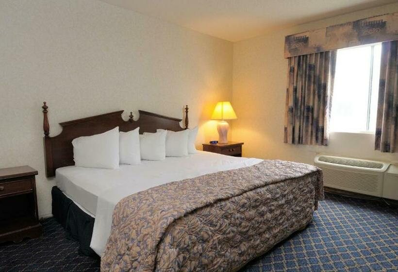 Отель Regency Inn & Suites